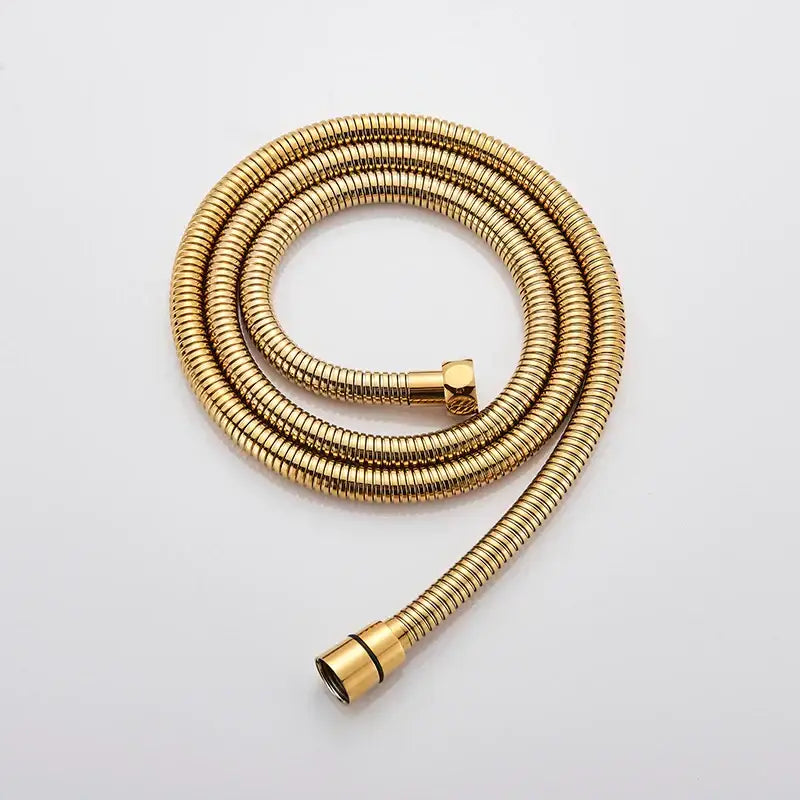 Antique brass and chrome hand shower head with gold flexible metal hose and brass fittings for hand shower use