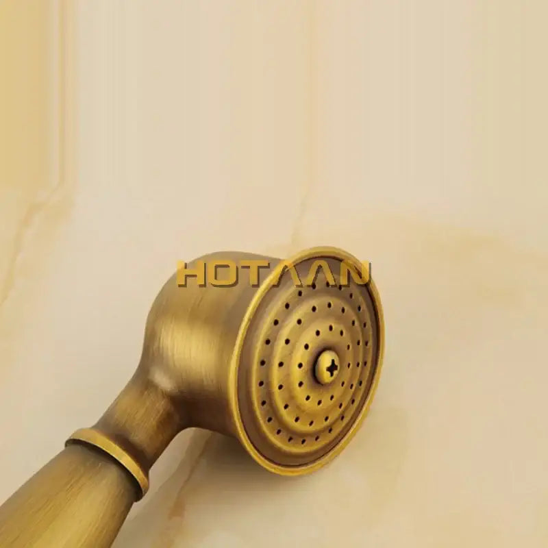 Antique brass hand shower set with wood grip featuring a circular spray face and concentric perforations for bathroom use