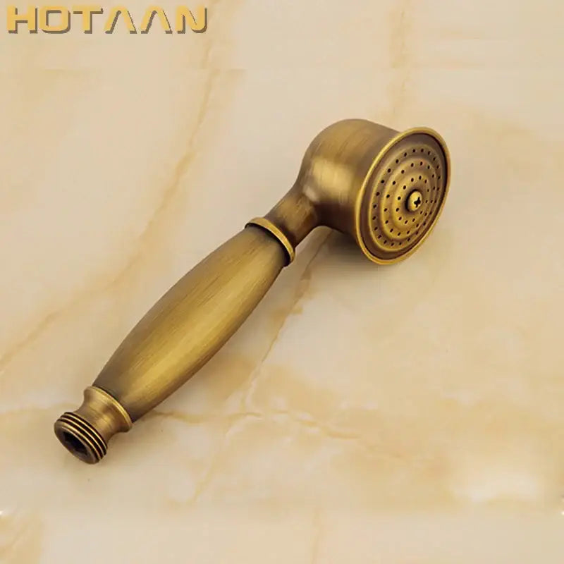 Antique brass hand shower set with wood grip featuring a classic elongated handle and circular multi-nozzle spray face