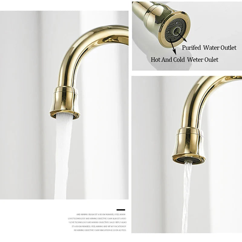 Antique brass kitchen faucet with dual handles featuring a sleek modern design and polished gold metallic finish