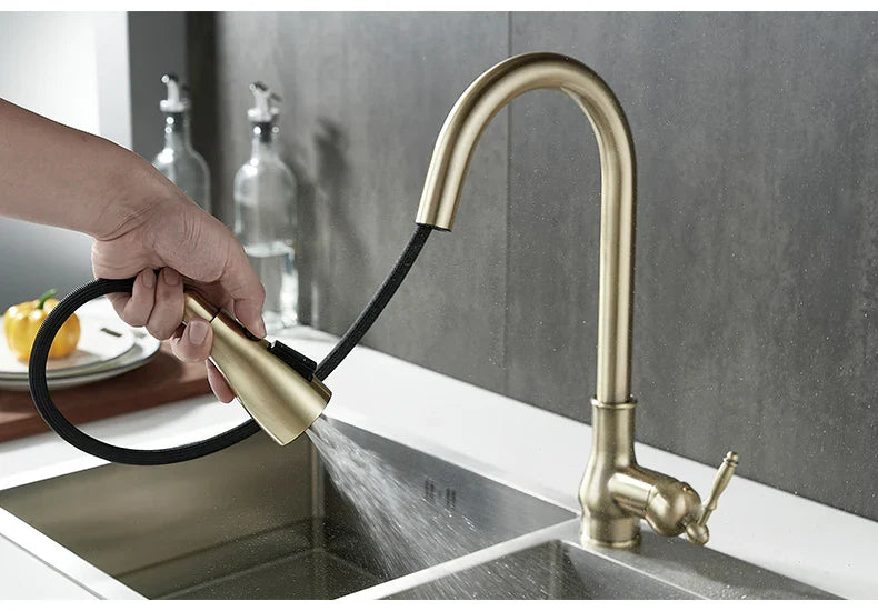 Antique Bronze Pull Out Kitchen Faucet