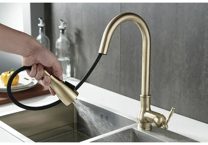 Antique Bronze Pull Out Kitchen Faucet