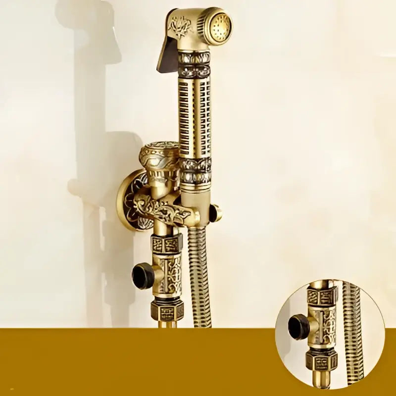 Antique engraved brass bidet shattaf with ornate dragon motifs and textured ribbed hose for hygienic washing
