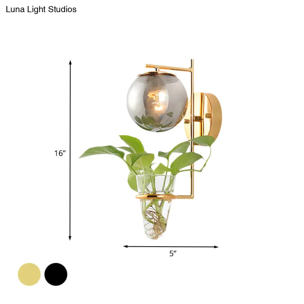 Aplique de pared antiguo dorado/negro con pantalla esférica y cristal crema/gris ahumado, lámpara de pared de una cabeza para dormitorio con maceta de cristal transparente.