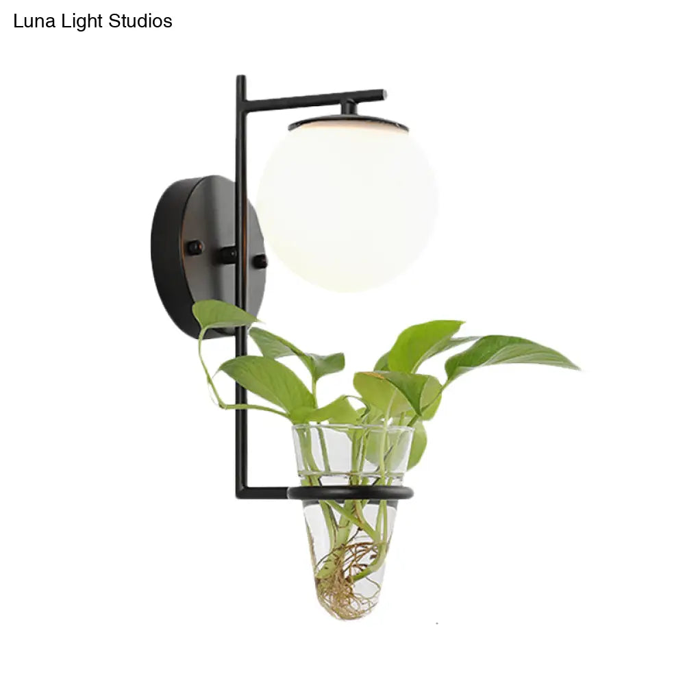 Aplique de pared antiguo dorado/negro con pantalla esférica y cristal crema/gris ahumado, lámpara de pared de una cabeza para dormitorio con maceta de cristal transparente.