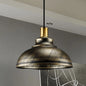 Antique Style Wrought Iron Dome Lamp - 1 Head - Restaurant Hanging Light - Silver/Bronze/Rust - 12"/14