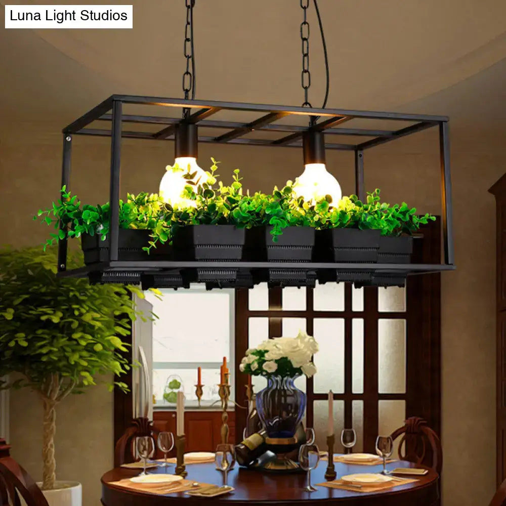 Black metal rectangular island lamp with two exposed bulbs and green plants beneath hanging ceiling light