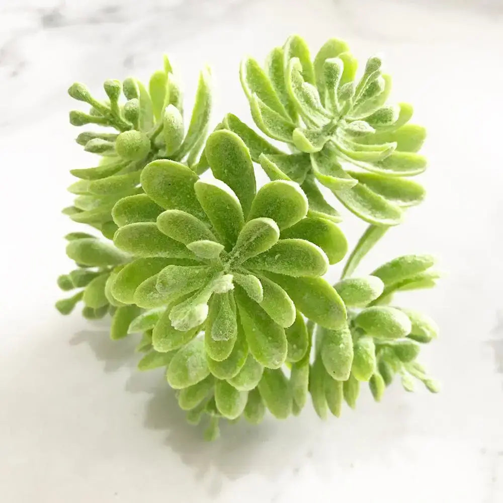 A cluster of green plant flower cherry artificial succulents with soft fuzzy leaves for decorbites green plant decor