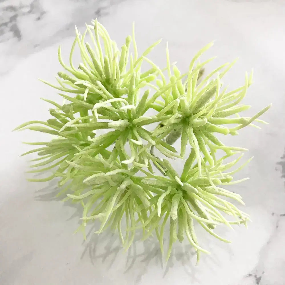Artificial light green plant flower cherry cluster with spiky petals for decorbites green plant living room decor