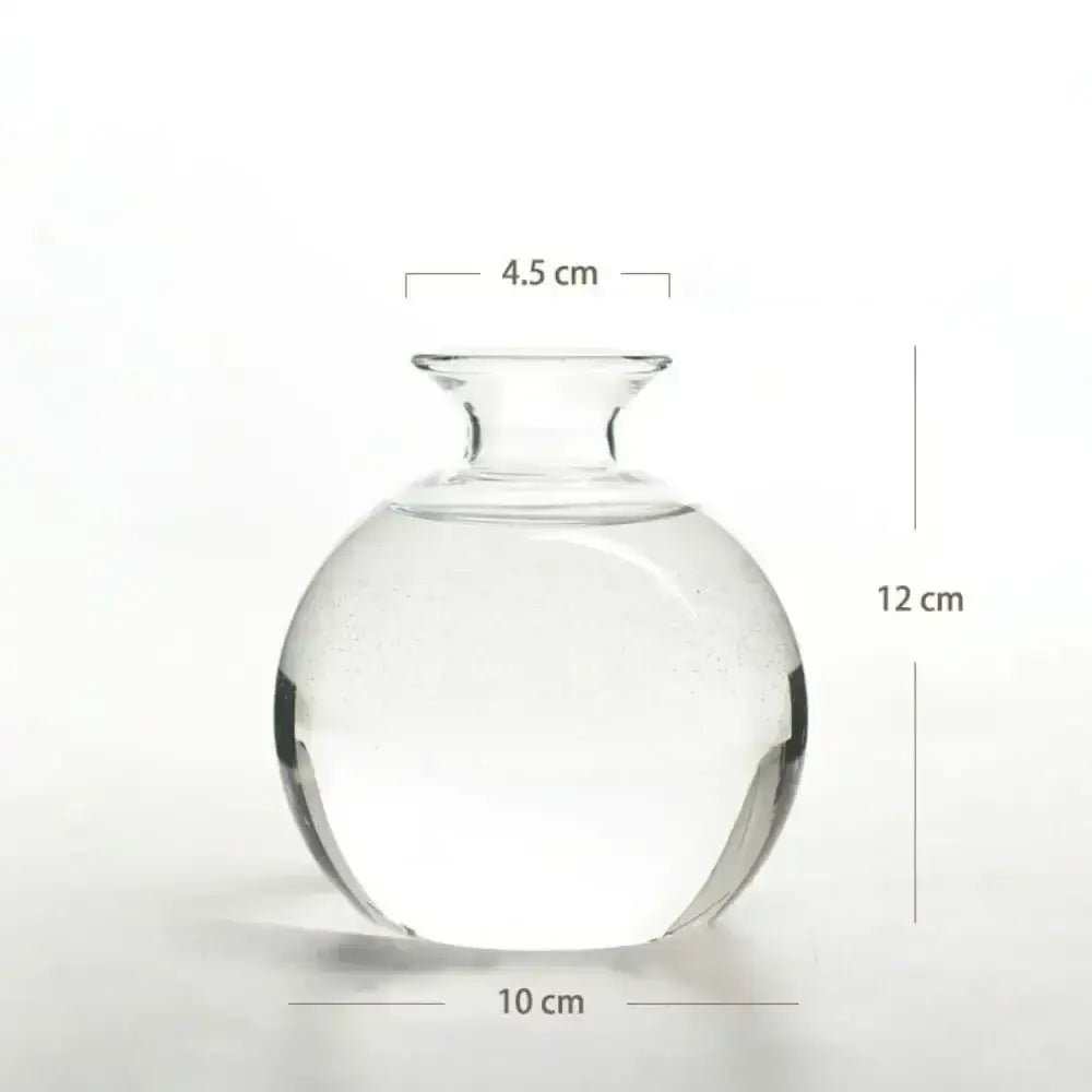 Clear glass hydroponic vase with rounded body and narrow neck designed as an avocado seed starter