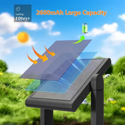 Dusk To Dawn Solar Outdoor Landscape Path Light Exterior Motion Sensor Lights IP65 Waterproof Energy-Saving Lantern 11606