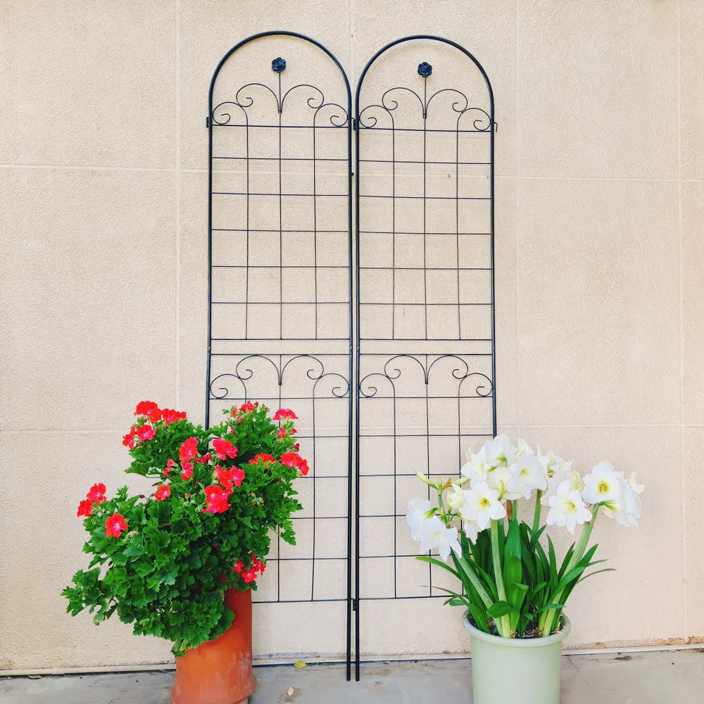 Sleek Black Plant Trellis