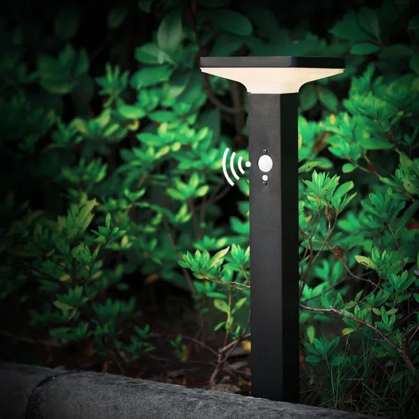 Solar Motion Path Lights
