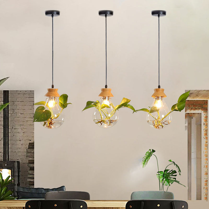 Comedor de Bar Vidrio Agua Planta Acuario Mesa de Noche Personalidad Lámpara de Araña