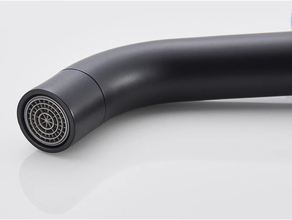Black matte-finish kitchen faucet with curved spout and circular spray head in brushed gold mixer tap design