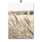 Beige-toned wheat stalks photograph with golden lighting on bohemia beach landscape canvas wall art for home decor