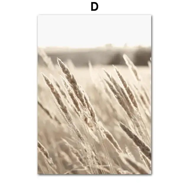Beige-toned wheat stalks photograph with golden lighting on bohemia beach landscape canvas wall art for home decor
