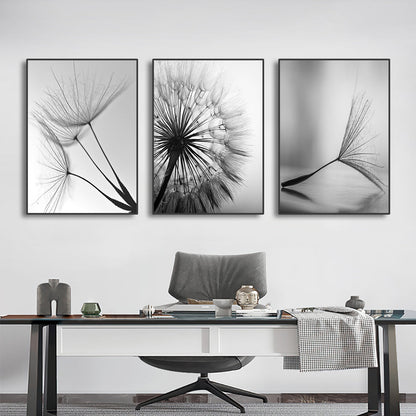 Black and White Dandelion Canvas Wall Art
