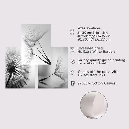 Black and White Dandelion Canvas Wall Art