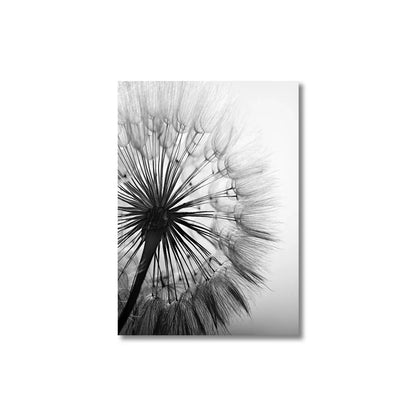 Black and White Dandelion Canvas Wall Art - B / 50x70cm