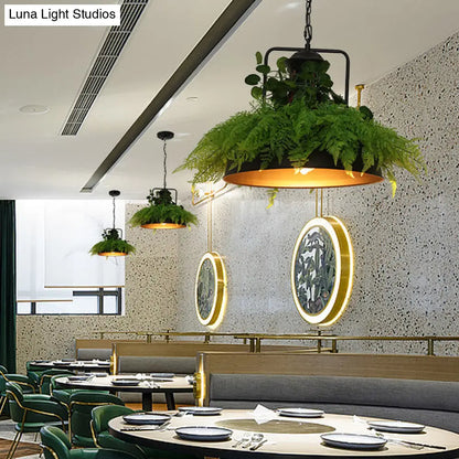 Black Barn Pendant Light Retro Metal 1 Head LED Ceiling Lamp with Plant - Multiple Sizes Available