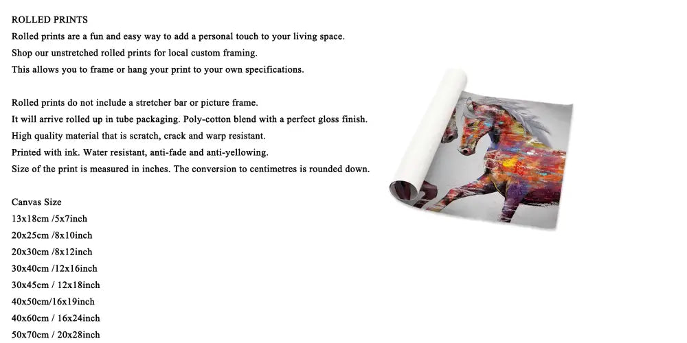 Decorbites™ black cat starry night wall art featuring a vibrant multicolored horse illustration on poly-cotton canvas