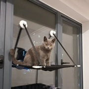 Black cat window suction hanging bed made of fabric with white suction cups and reinforced ends for living room use