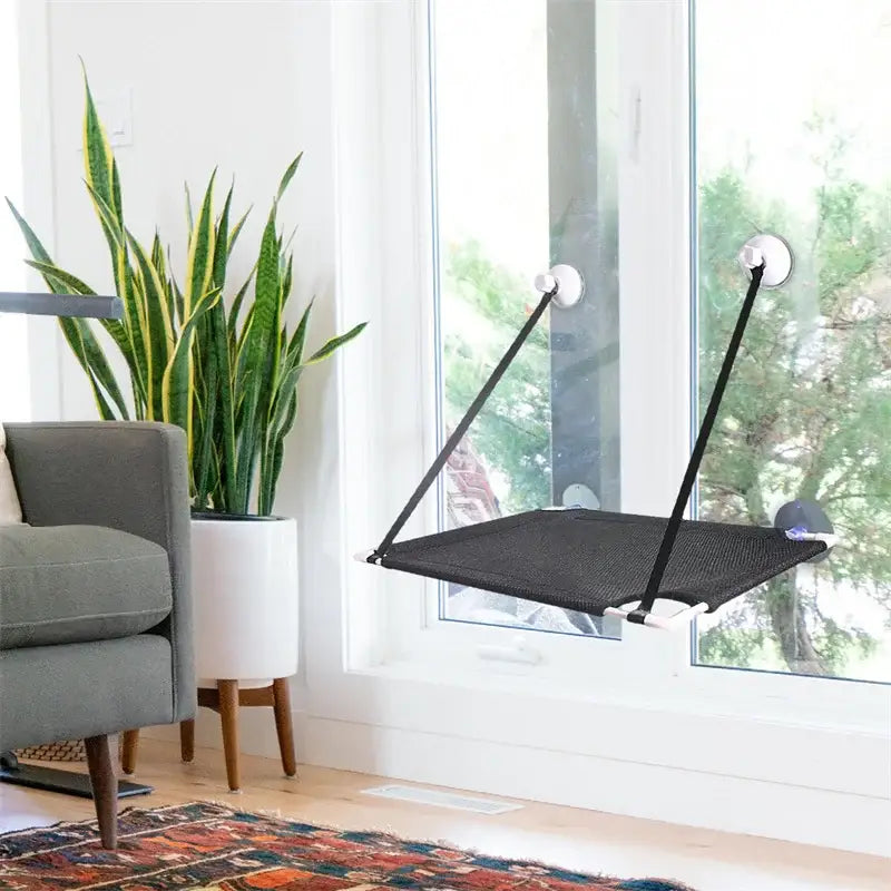 Black mesh cat window suction hanging bed suspended by black straps and white suction cups for living room use