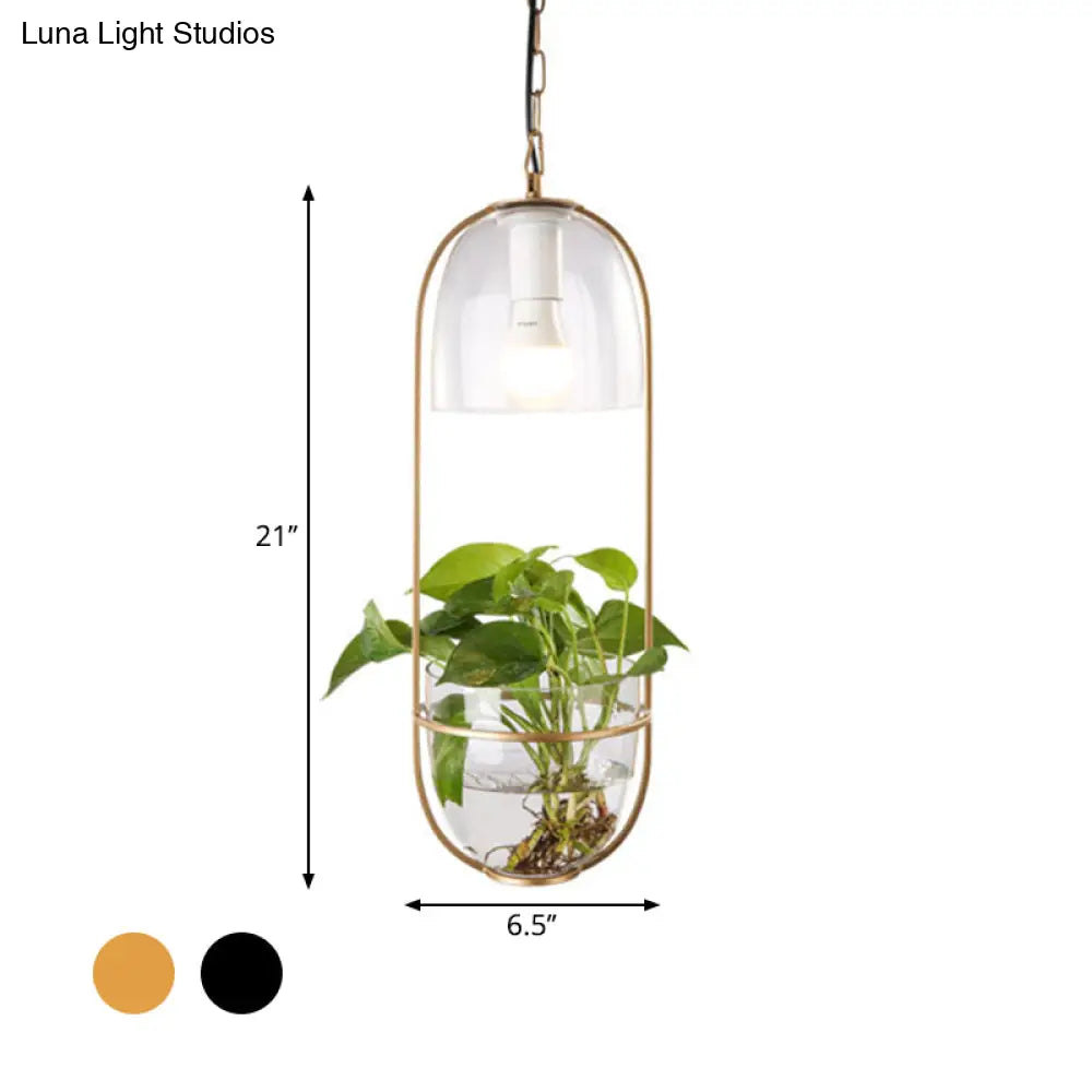 Black/Gold Oblong Pendant Lamp with Clear Glass Shade and Fish Bowl - Perfect for Dorm Rooms and Rural Décor