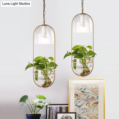 Black/Gold Oblong Pendant Lamp with Clear Glass Shade and Fish Bowl - Perfect for Dorm Rooms and Rural Décor