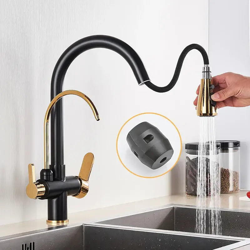 Black and gold two-handle pull out filter kitchen faucet with water filter for efficient water filtration