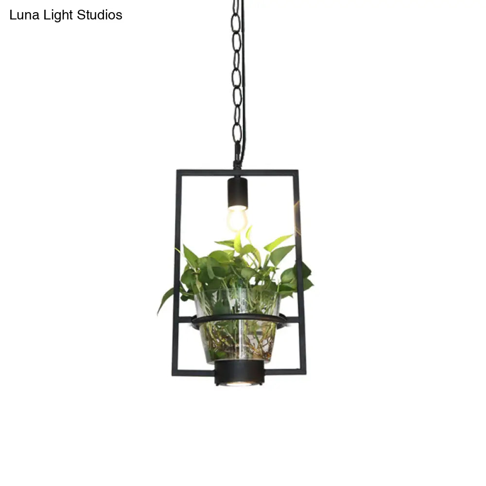 Black Industrial Iron Pendant with Clear Glass Plant Pot: 1 Light Down Lighting Cage Design