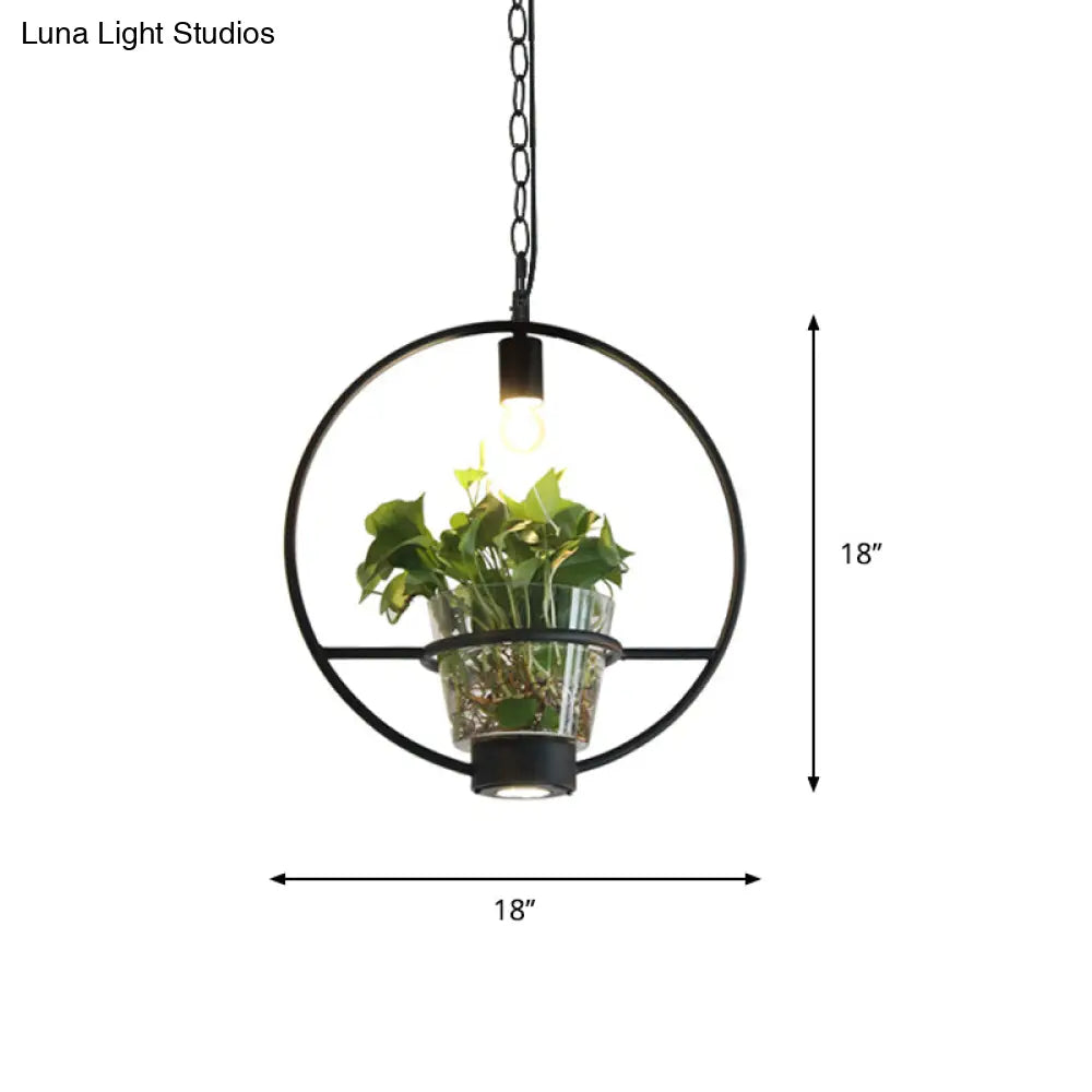 Black Industrial Iron Pendant with Clear Glass Plant Pot: 1 Light Down Lighting Cage Design