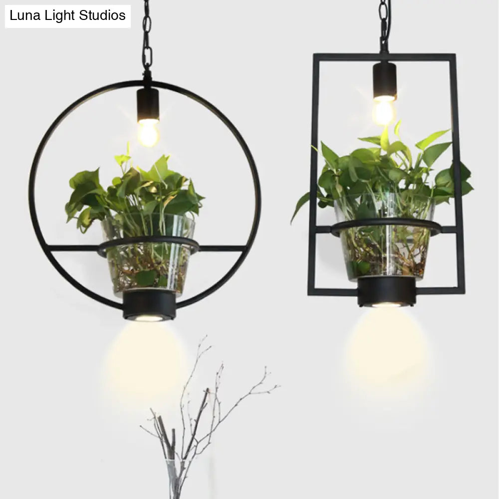 Black Industrial Iron Pendant with Clear Glass Plant Pot: 1 Light Down Lighting Cage Design