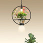 Black Industrial Iron Pendant with Clear Glass Plant Pot: 1 Light Down Lighting Cage Design