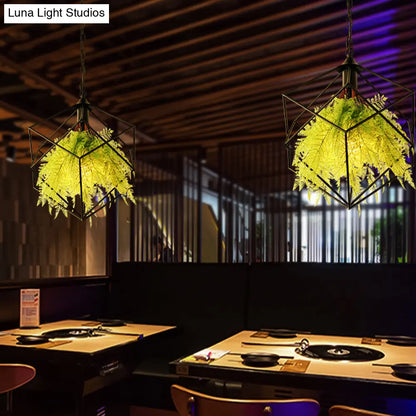 Black Metal Geometric Plant Hanging Pendant with LED Light, Ideal for Restaurants - 1 Bulb, 18"/21.5" Width