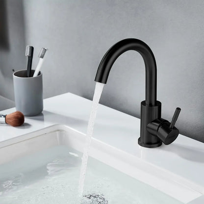Black Stainless Steel Bathroom Faucet - Single Handle