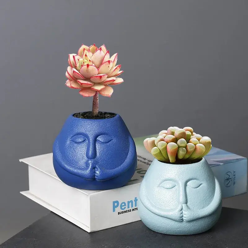 Blue and orange ceramic abstract human face planter with pink and white succulent for living room decorbites ceramic abstract decor