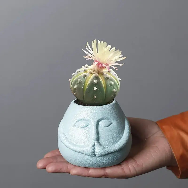 A light blue decorbites ceramic abstract planter shaped like a human face holds a green cactus with a pink flower