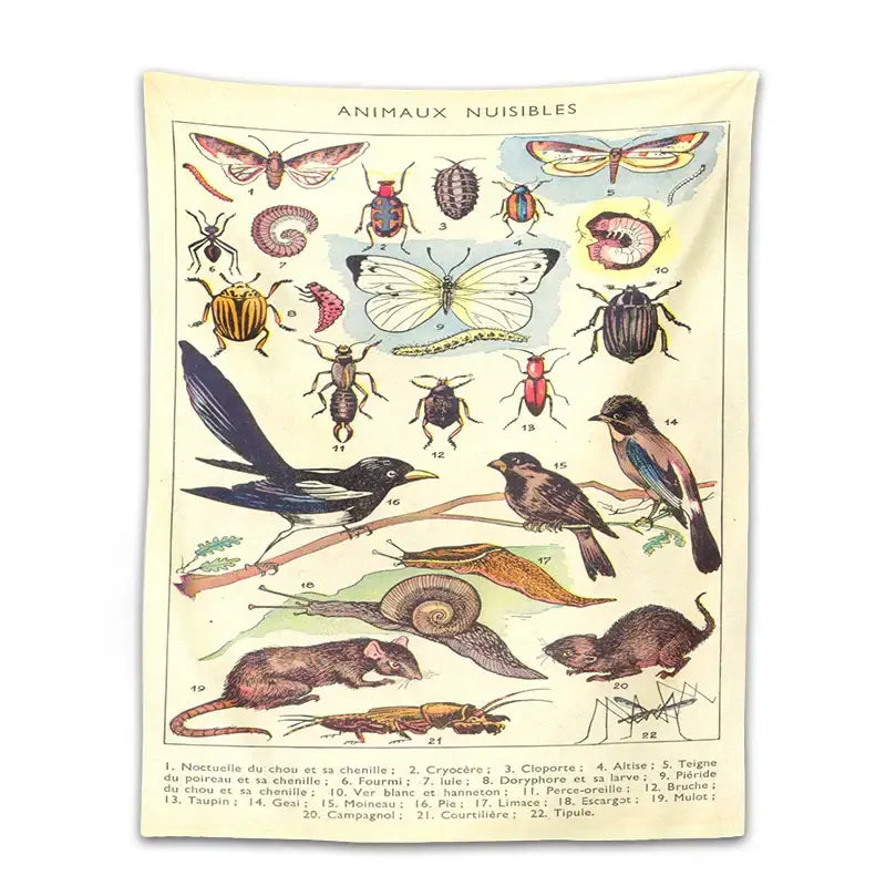 Beige vintage-style decorbites boho tapestry wall hanging with detailed insect and animal illustrations for bedroom decor