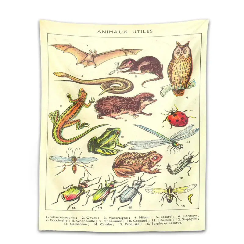 Vintage-style decorbites boho tapestry wall hanging in beige featuring french-labeled animals and an owl on a branch