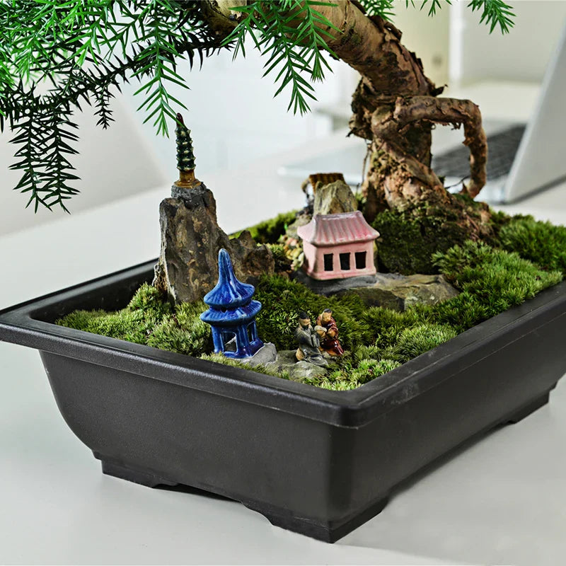 Black rectangular bonsai plant pot with green moss and ceramic blue pagoda for outdoor garden supplies para plantas
