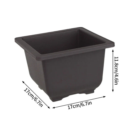 Black rectangular plastic plant pot with rounded corners and raised rim para plantas bonsai and succulents