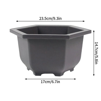Dark gray hexagonal plastic plant pot with rounded edges and tapered design for succulents and para plantas outdoors