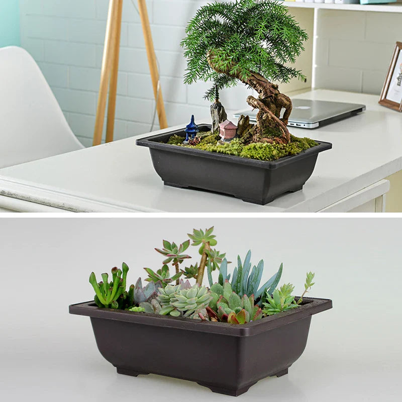 Dark brown rectangular bonsai plant pot with moss and accessories and planter with assorted succulents for outdoor garden