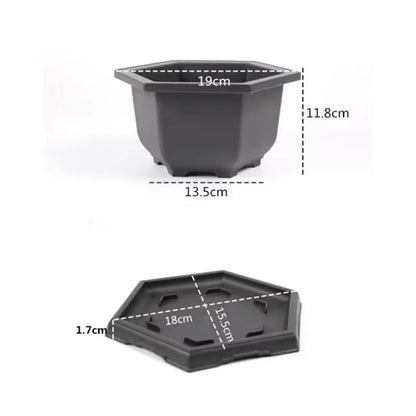 Black hexagonal plastic plant pot with matching base ideal para plantas succulents bonsai outdoor garden use