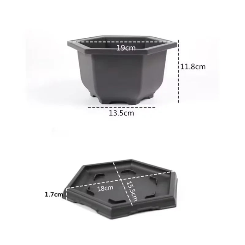Black hexagonal plastic plant pot with matching base ideal para plantas succulents bonsai outdoor garden use