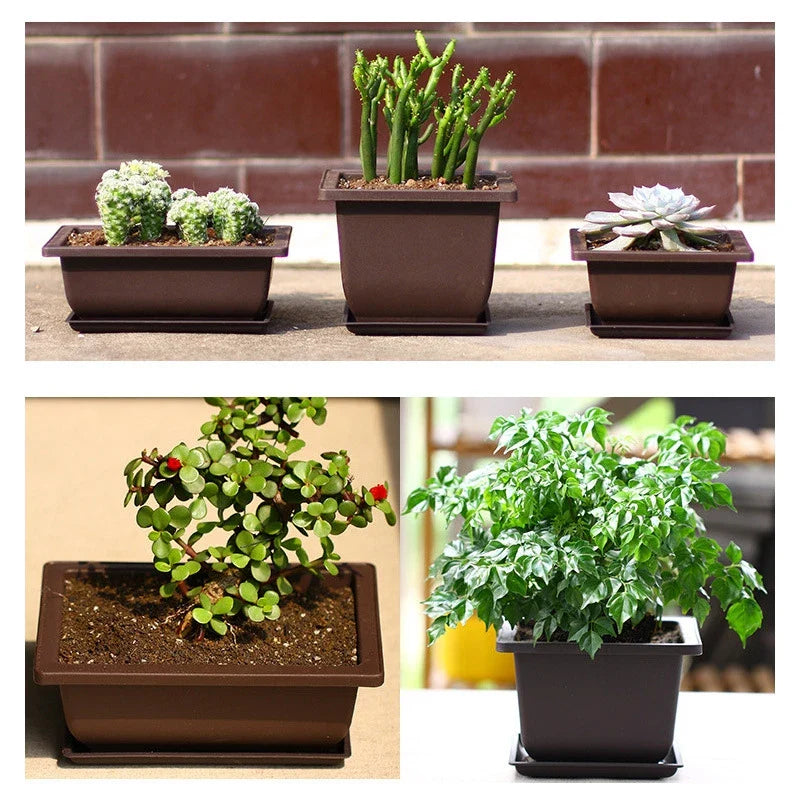 Set of four brown rectangular bonsai plant pots with matching saucers for succulents and outdoor garden use para plantas