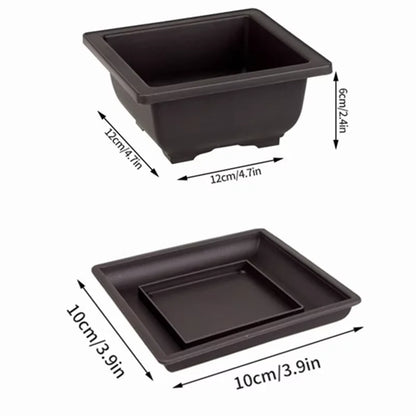 Black square plastic bonsai plant pot and tray set for succulents para plantas outdoor garden pot flowerpots
