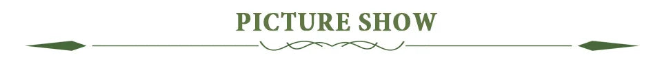 Green decorative banner with picture show text and ornamental arrows featured on rectangular bonsai plant pot flowerpots